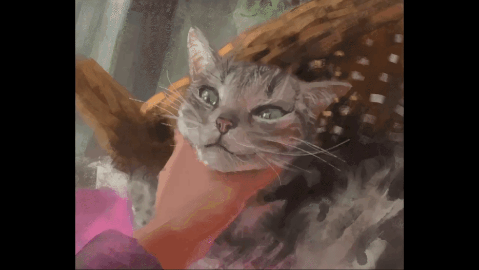 cat